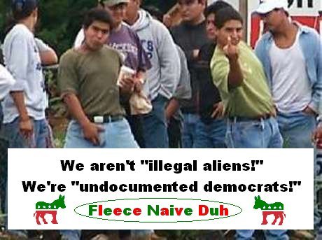 Stop Suppressing the Vote of Illegal Aliens!