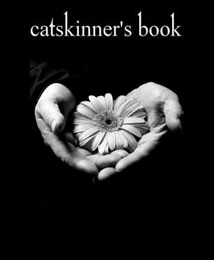 Catskinner’s Book by Misha Burnett – a Review